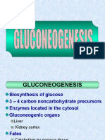 Gluconeogenesis