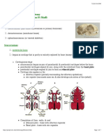 2 Skeletal PDF
