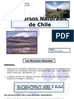 8782932 Recursos Naturales de Chile