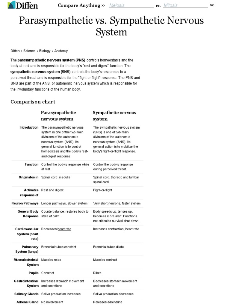 Parasympathetic Vs Sympathetic Nervous System - Difference and ...