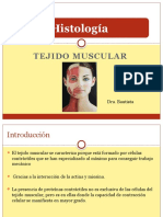 Histología Musculo