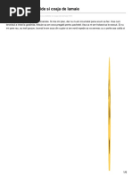 Branzoaice cu stafide si coaja de lamaie.pdf