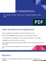 Behavioral Adaptations: By: Catelyn Bradley, Tayli Sosa, Carynelle Espada, Jaden Kott