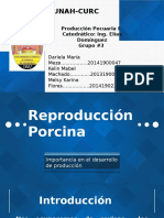 Reproducción Porcina.. 
