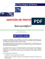 Gestion de Proyecto