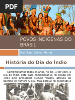 Povos Indígenas Do Brasil