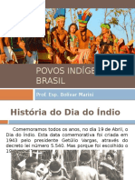 Povos Indígenas Do Brasil