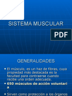 4sistema Muscular