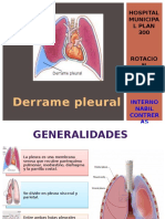 Derramepleural