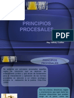 PRINCIPIOS PROCESALES.pptx