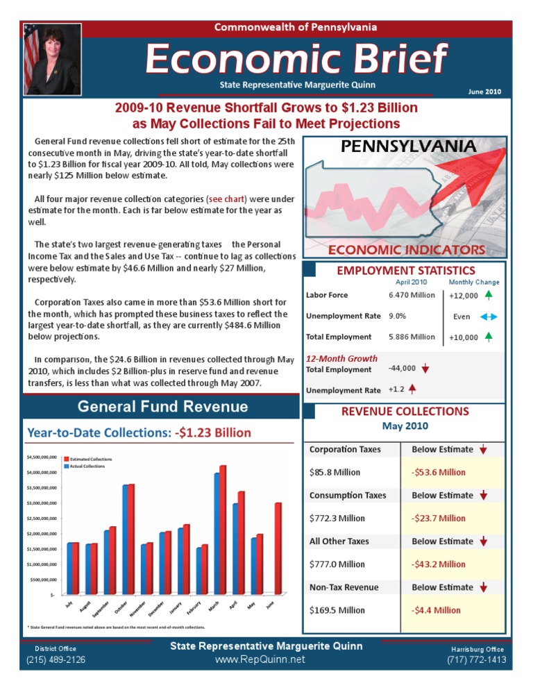 Quinn June 2010 Economic Brief | PDF | Revenue | Public Finance