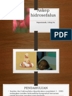 PP Askep Hidrosefalus D IV