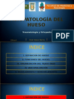 Fisiopatología Del Hueso