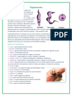 Trypanosoma y Leishmania enfermedades parasitarias