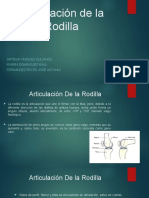 Articulación de La Rodilla