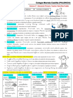 Resumen Tema 3