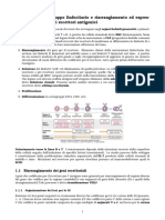 08 PDF