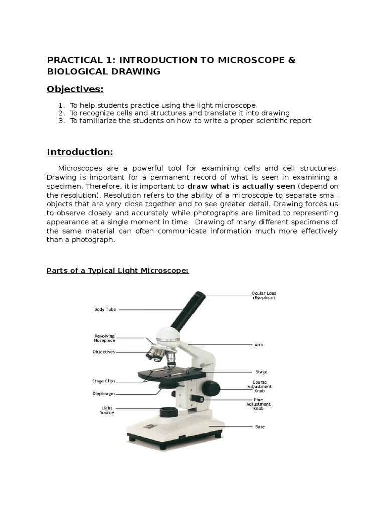 Practical 1 Microscope Experiment Microscope