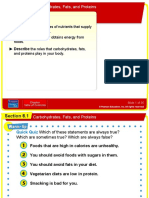 Carbs Fats and Protein