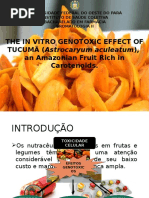 Efeito Genotóxico in vitro do Tucumã