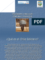 Programavinculos PDF