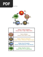 biotipologia alimentar