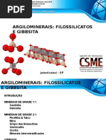 8_Argilominerais_Filossilicatos_e_Gibbsita.ppsx
