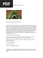Relatório de Aulas Práticas Farmacognosia