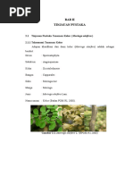 Download tinjauan pustaka moringa by nephylym SN324812620 doc pdf