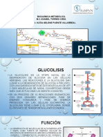 glucolisis k.pptx