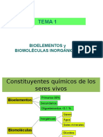 T1 Bioelementos y Biomoléculas Inorganicas