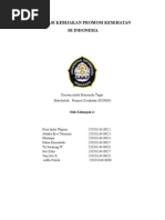 Download Aplikasi Program Promosi Kesehatan by Reiza Indra SN324818738 doc pdf
