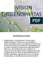Euglenofitas