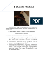 archivo2.pdf