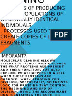 Process of Producing Similar Populations of Genetically Identical Individuals - Processes Used To Create Copies of Fragments