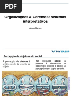 Organizações & cérebro - orgs como sistemas interpretativos.pdf