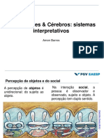 Organizações & Cérebro - Orgs Como Sistemas Interpretativos PDF