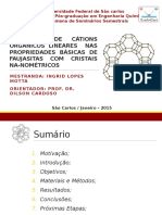 Apresentação Ingrid 22a Semana de Seminários Após Correções