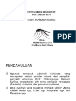 Pertemuan Ke-8 Ordo Diptera (Nyamuk)