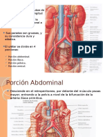 URETER