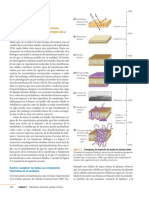 4°E Desafío 13 Mosaico Fluido PDF