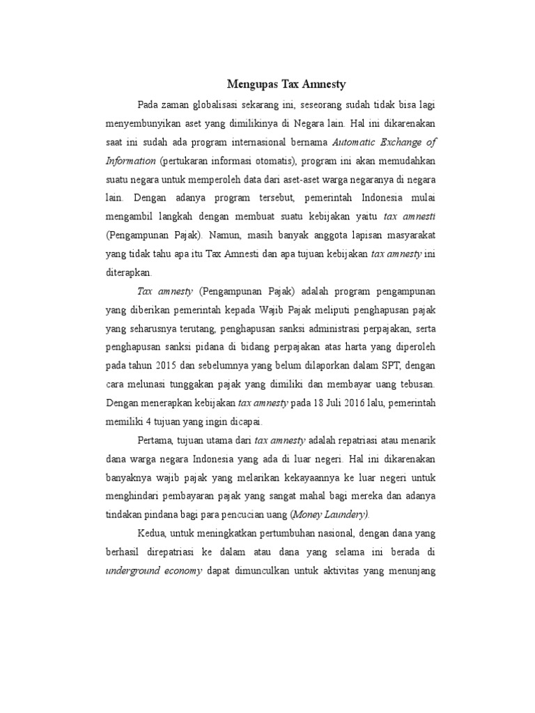 Amnesty essay examples 07 picture