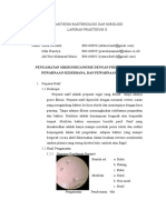 Pengamatan Mikroorganisme Dengan Prepara