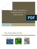 Bacteria, Archaea & Introduction To Eukaryotes