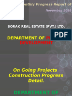 Monthly progress report for Borak Real Estate construction projects