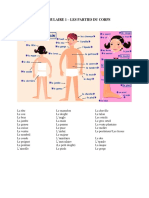 VOCABULAIRE 1 - Partie Du Corps