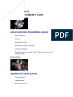 Sistema Floral Australiano