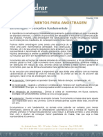 amostragem ENGENDRAR.pdf