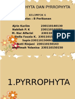 EUGLENOPHYTA DAN PYROPHYTA Kelompok 6