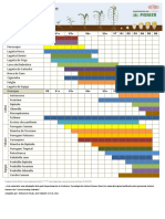 Calendario Pragas Doencas Milho PDF